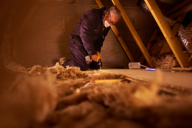 Best Geographic-Specific Insulation Services in Pine Mountain Lake, CA